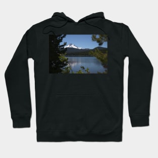 850_5978 Hoodie